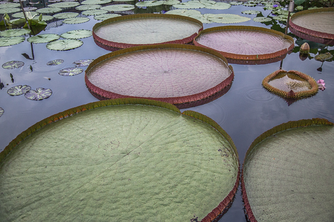 The Communion table in the early morning light