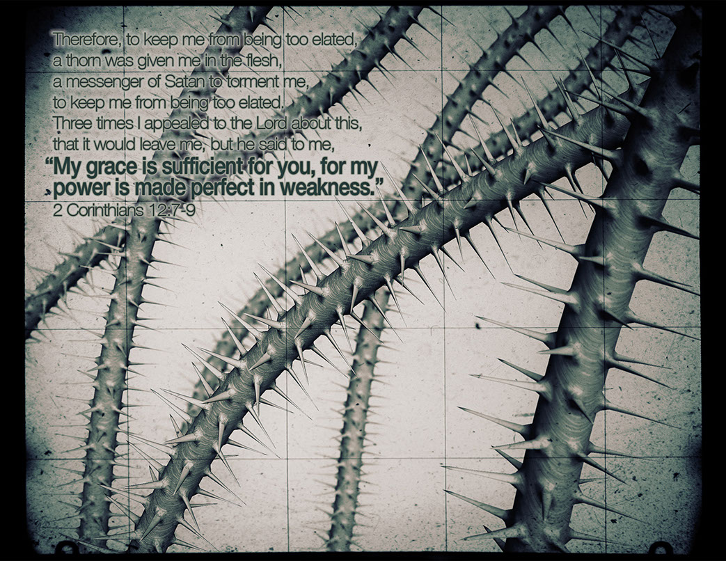 Advent sanctuary installation